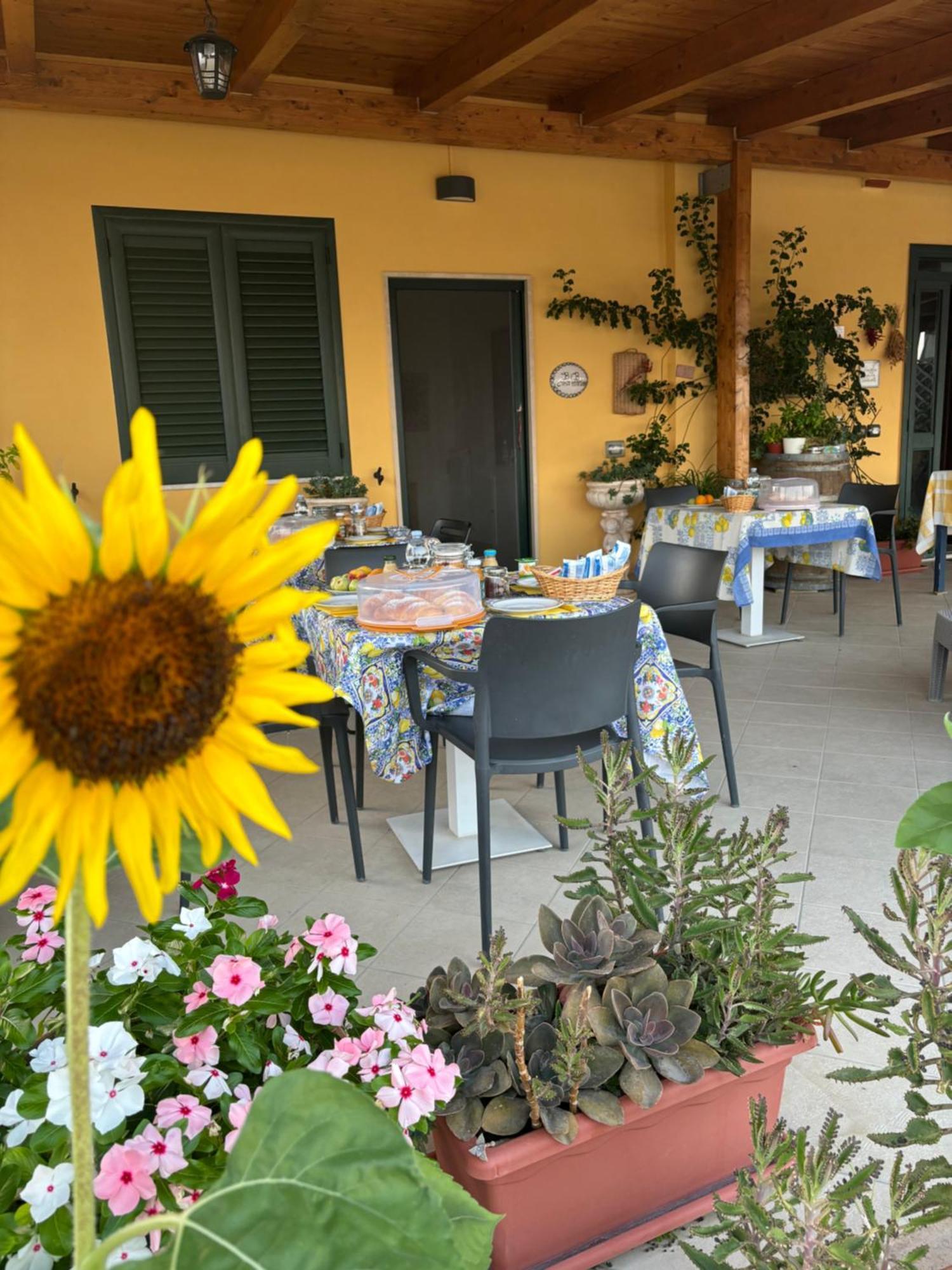 B&B Casa Martina Giungano Esterno foto