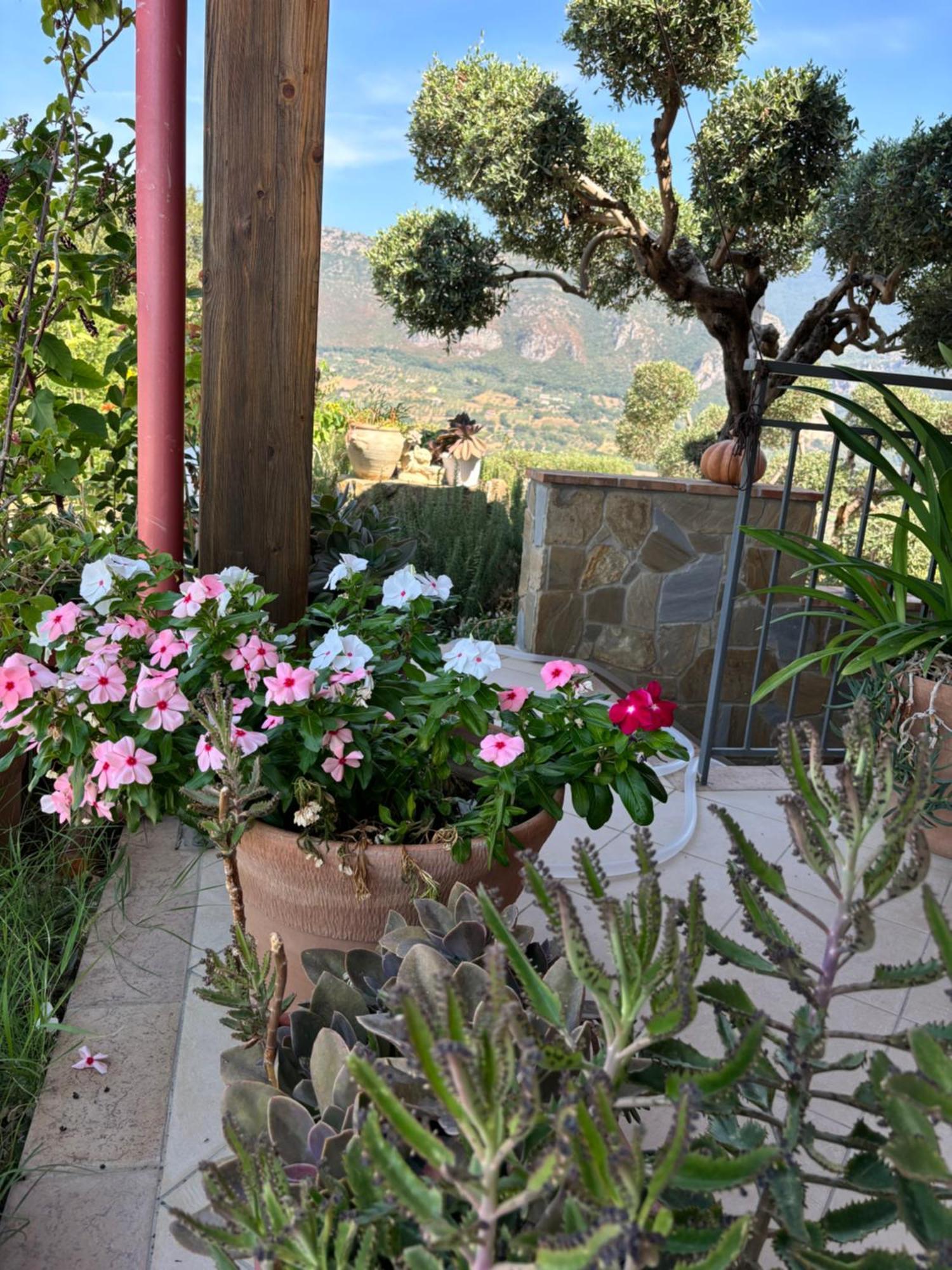 B&B Casa Martina Giungano Esterno foto